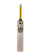 Load image into Gallery viewer, CA Pro Force 10000 Softball/Tennis Cricket Bat