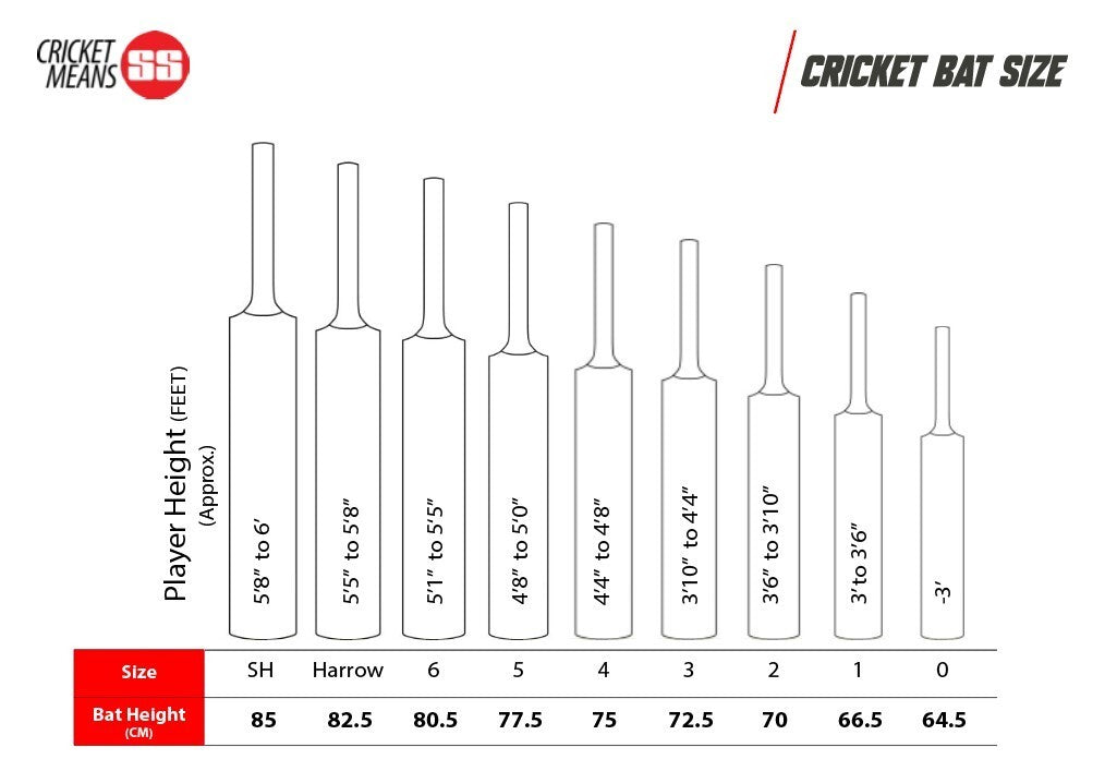 SS GG Smacker Blaster English Willow Cricket Bat – SH