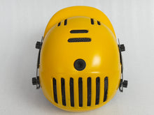 Load image into Gallery viewer, Black Ash Junior Cricket Helmet with an adjustable steel grill for superior protection and visibility, featuring an Air Flow cooling system for enhanced ventilation, very comfortable and secure fit, and available in 6 colors.