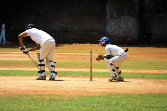 How to play cricket