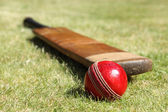 Cricket and Culture: How the Sport Reflects Society