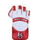 CA White Gold Wicket keeping gloves