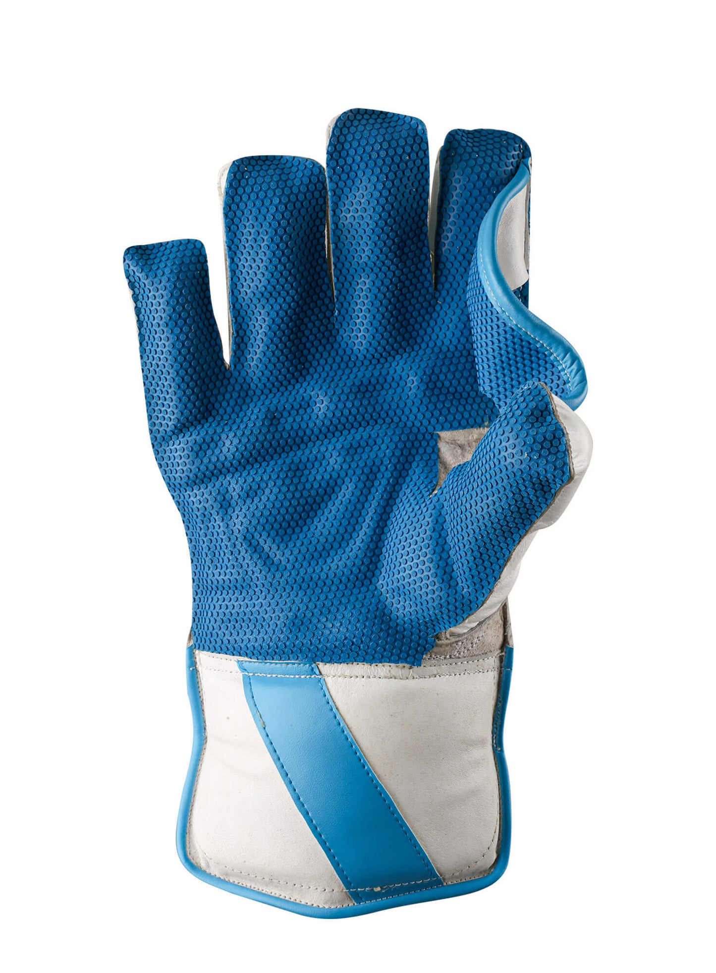 CA Plus 8000 Wicket keeping gloves