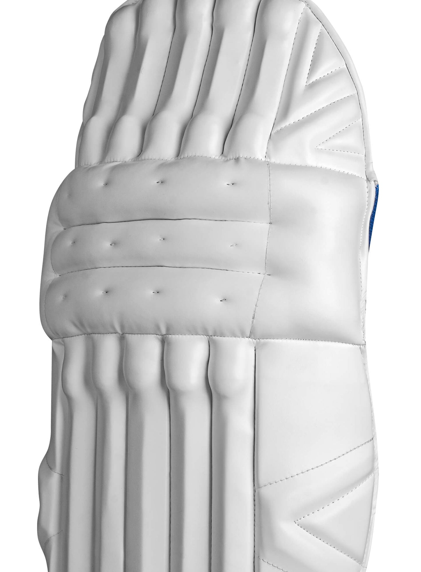 CA Pro Performance batting pads