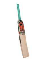 Load image into Gallery viewer, CA Pro 4000 English Willow Adult Cricket Bat