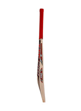 Load image into Gallery viewer, CA Pro 3000 English Willow Adult Cricket Bat