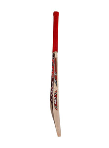 CA Pro 3000 English Willow Adult Cricket Bat