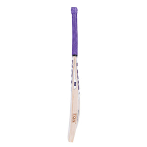 SS Ton Glory English Willow Cricket Bat