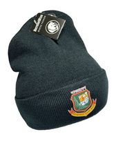 Load image into Gallery viewer, Bangladesh Cricket-Themed Beanie