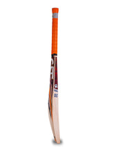 Load image into Gallery viewer, CA Plus 10000 Cricket English Willow Bat