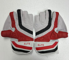 Load image into Gallery viewer, SS Wicket Keeping Gloves Elite