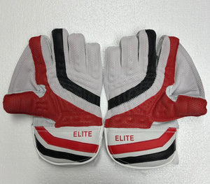SS Wicket Keeping Gloves Elite