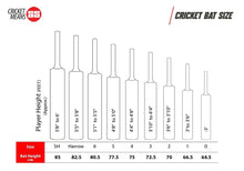Load image into Gallery viewer, SS GG Smacker Blaster English Willow Cricket Bat – SH