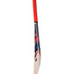 CA Plus 5000 Cricket English Willow Bat