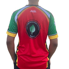 Load image into Gallery viewer, Person wearing a colorful sports jersey with a logo on the back, standing outdoors.