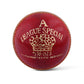 CA League Special -  Pack of 6 Red Cricket Leather Balls 156 Grams