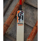 Lightweight CA Vision 3000 tennis ball cricket bat with a nice clean Poplar wood build, medium-sized edges for a better sweet spot, full cane handle, quality grip, and economical, making it ideal for advanced play.