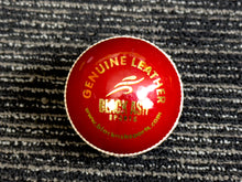 Load image into Gallery viewer, Pack of 6 red cricket balls, &#39;Black Ash Cavalier&#39; series, made from premium quality, genuine Australian alum-tanned leather with 4-piece construction. These waterproof, machine-stitched balls offer excellent shape retention, are suitable for 50 overs, comply with MCC regulations, and weigh 156 grams (5.5 ounces) each.