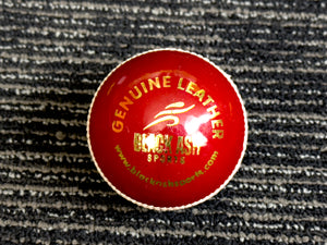 Pack of 6 red cricket balls, 'Black Ash Cavalier' series, made from premium quality, genuine Australian alum-tanned leather with 4-piece construction. These waterproof, machine-stitched balls offer excellent shape retention, are suitable for 50 overs, comply with MCC regulations, and weigh 156 grams (5.5 ounces) each.