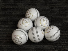 Load image into Gallery viewer, Black Ash Cavalier pack of 6 white cricket leather balls, 156 grams, made of premium quality Australian alum-tanned leather, 4-piece construction, waterproof, excellent shape retention, suitable for 50 overs, and MCC compliant.