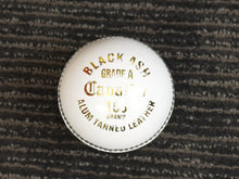 Load image into Gallery viewer, Black Ash Cavalier pack of 6 white cricket leather balls, 156 grams, made of premium quality Australian alum-tanned leather, 4-piece construction, waterproof, excellent shape retention, suitable for 50 overs, and MCC compliant.