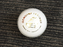 Load image into Gallery viewer, Black Ash Cavalier pack of 6 white cricket leather balls, 156 grams, made of premium quality Australian alum-tanned leather, 4-piece construction, waterproof, excellent shape retention, suitable for 50 overs, and MCC compliant.