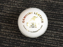 Load image into Gallery viewer, Pack of 6 white cricket balls from Black Ash Premium grade, made of genuine leather with 4-piece construction for excellent shape retention. These premium quality balls are machine-stitched, adhere to MCC regulations, and are ideal for 30 to 35 overs, each weighing 156 grams (5.5 ounces).