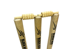 Load image into Gallery viewer, Set of Black Ash spring return stumps, featuring three stumps mounted on a spring-loaded base for convenience and portability, comes with bails in matching colors, made of Ash wood, available in black, blue, and natural wood colors.