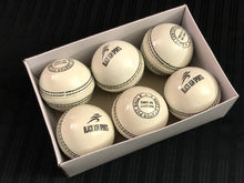 Load image into Gallery viewer, Pack of 6 white Black Ash PVC soft cricket training balls, each weighing 90 grams, designed for coaching and training, with a top-quality PVC construction and soft center, suitable for indoor and outdoor use.