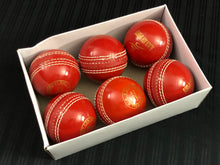 Load image into Gallery viewer, Pack of 6 Black Ash soft cricket training balls in red color, each weighing 90 grams, made of top-quality PVC with a soft center inside. Recommended for coaching and training purposes, suitable for both indoor and outdoor cricket play.