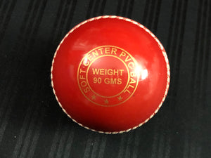 Pack of 6 Black Ash soft cricket training balls in red color, each weighing 90 grams, made of top-quality PVC with a soft center inside. Recommended for coaching and training purposes, suitable for both indoor and outdoor cricket play.