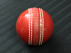 Pack of 6 Black Ash soft cricket training balls in red color, each weighing 90 grams, made of top-quality PVC with a soft center inside. Recommended for coaching and training purposes, suitable for both indoor and outdoor cricket play.